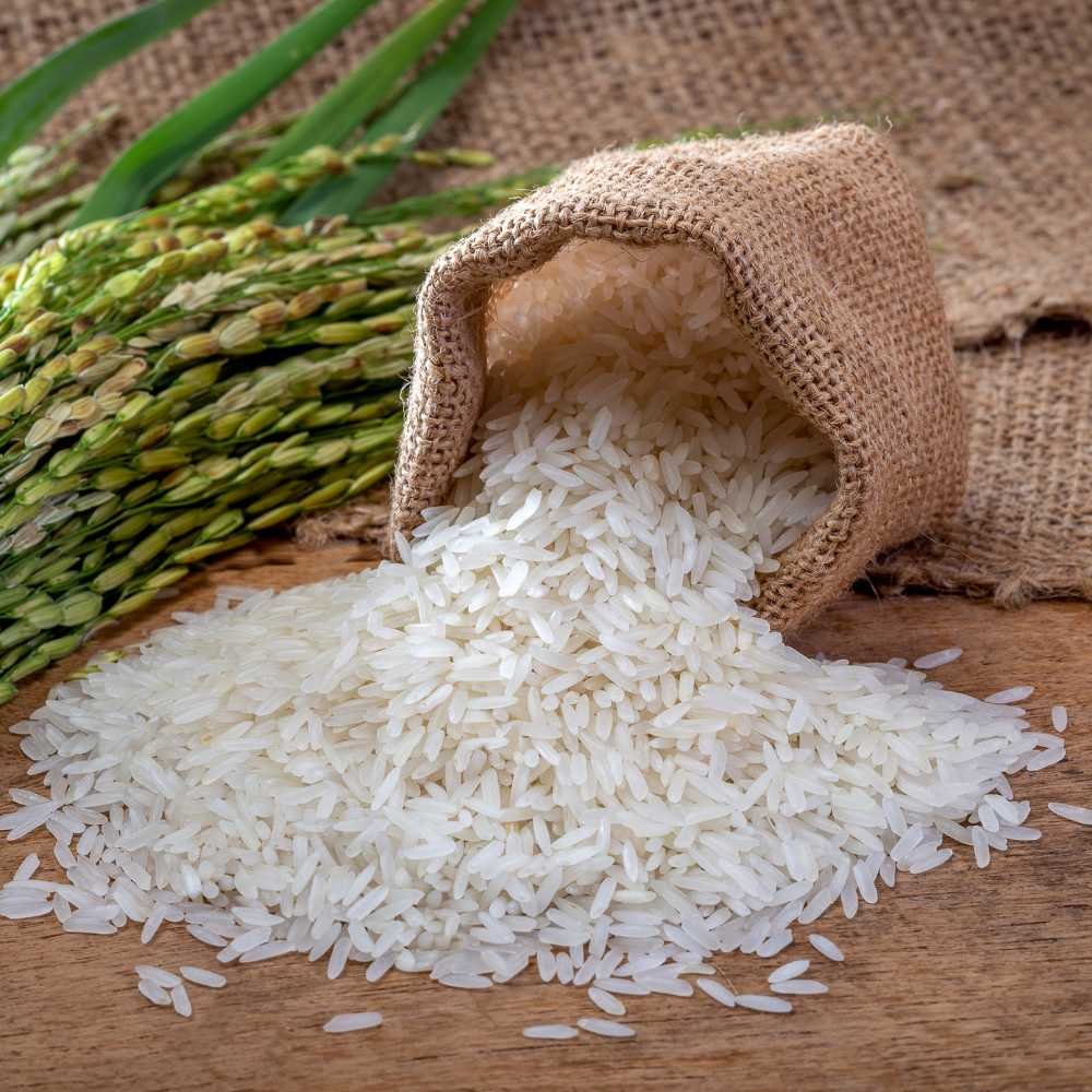 Rice export handling