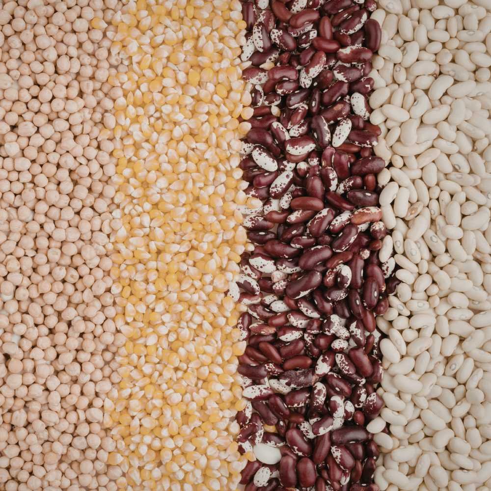 Grains and pulses stock